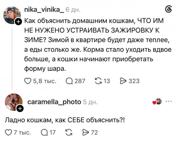 Файл #421471983