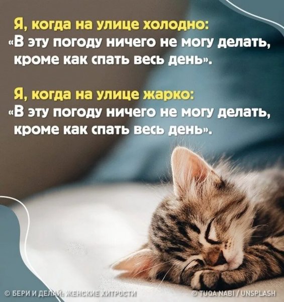 Весь день