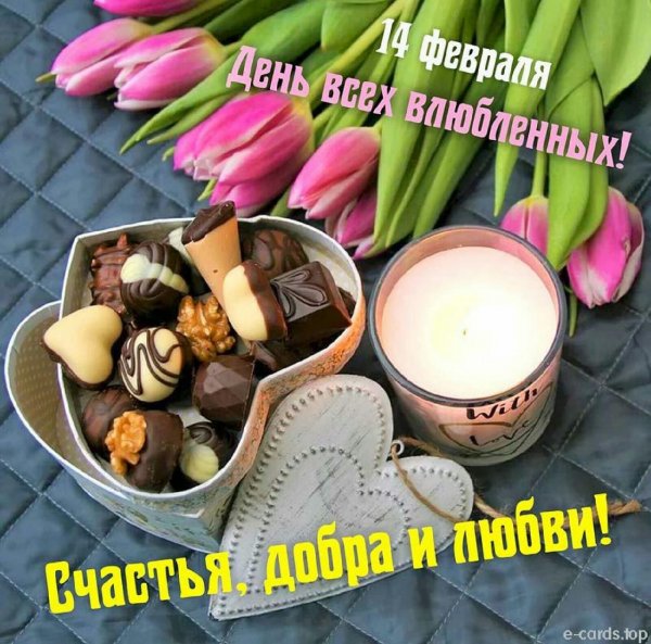 IMG-20210214-WA0003