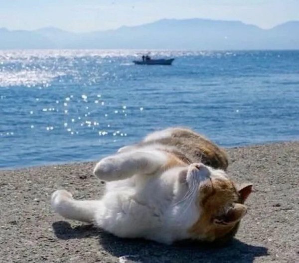 Солнце, море, благодать!