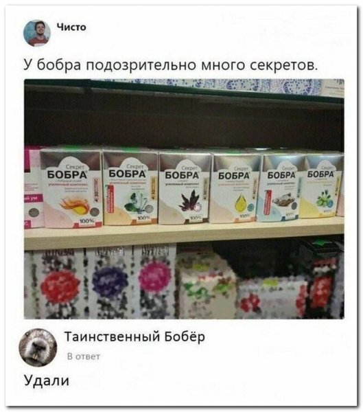 Секреты бобра)