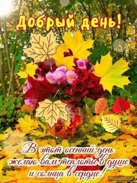 Друзья мои!