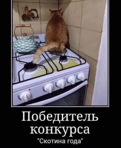ZAHV6bNG6gg81xjftkxOSTnLdu222OdfipaY4KaohMw0KTZh4vtJ2a88s