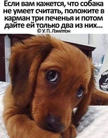 Опаньки!