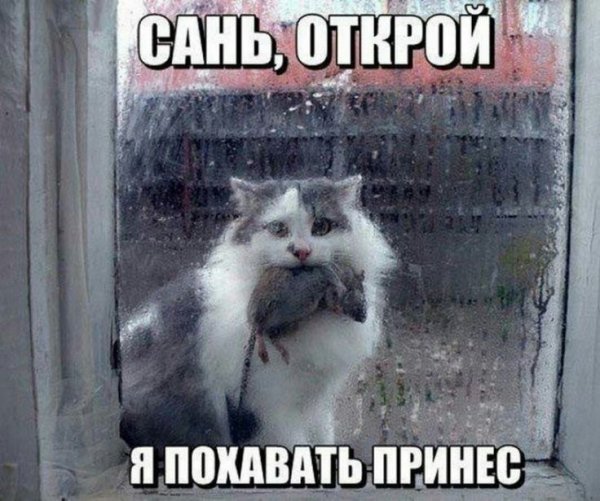 9f3b9b7b425148cd4db0198e4e1ffec8