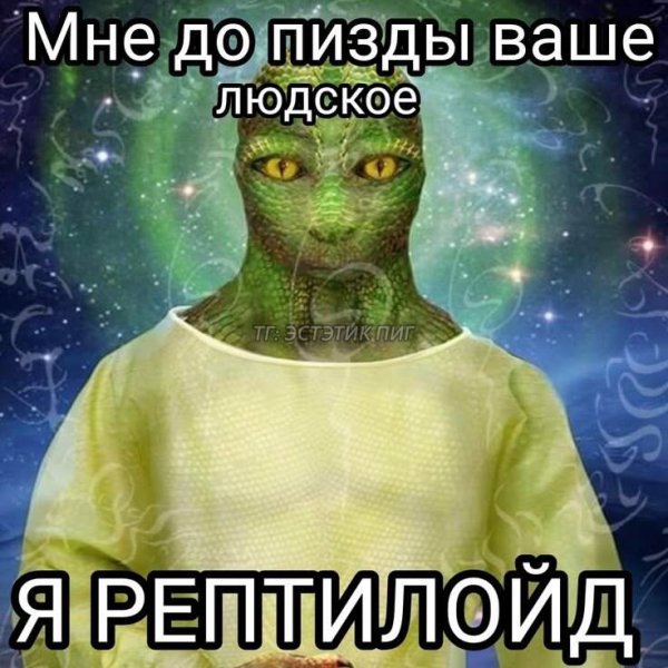 cea58bb50a9054a4d85474ff645