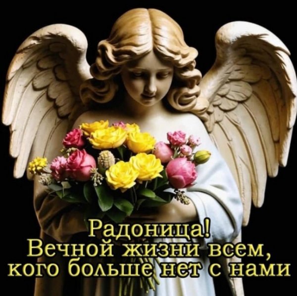 IMG 20260422 114955