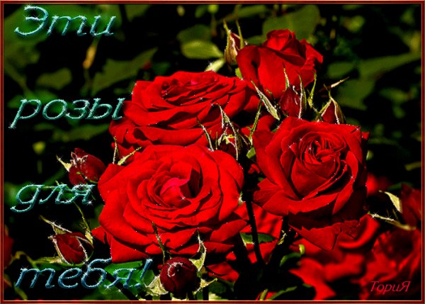 file_57962012