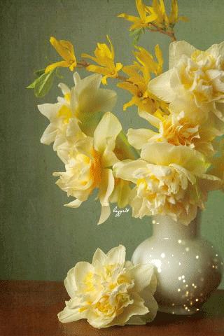 file_51617585
