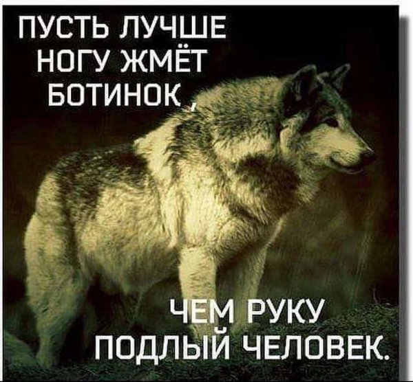 image (11)