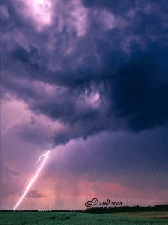 file_46942351