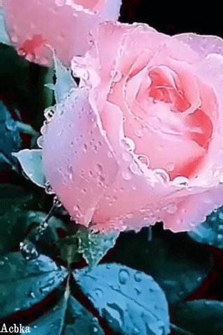 file_94983248