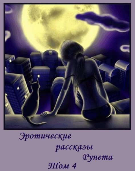 Eroticheskie rasskazyi Runeta. Tom 4