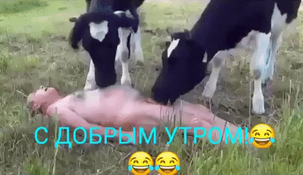 IMG 20240130 195834