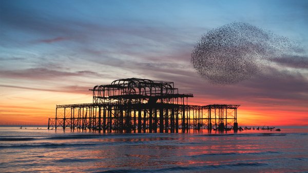 StarlingBrighton2025 ROW5558323918 UHD