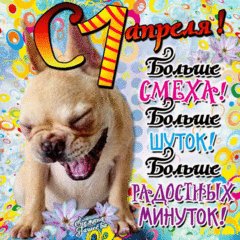 Собака с 1апреля