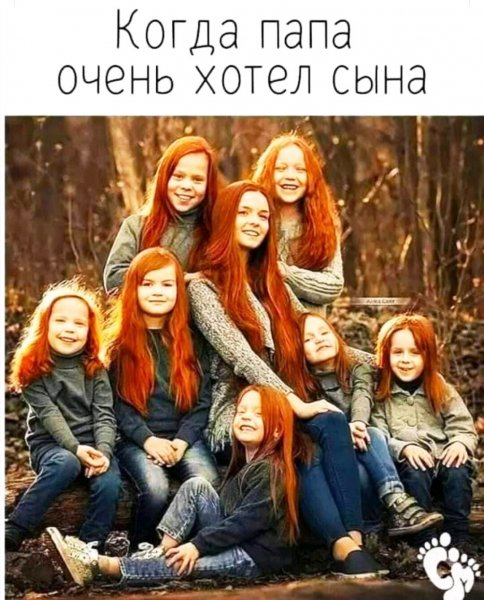 file_100976536