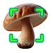 Mushroomizer 4. 0. 2 sign