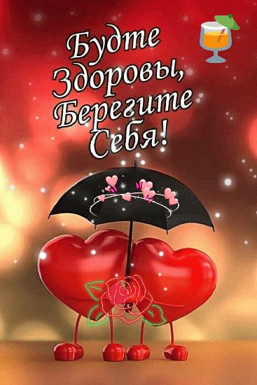 IMG 20230201 065611