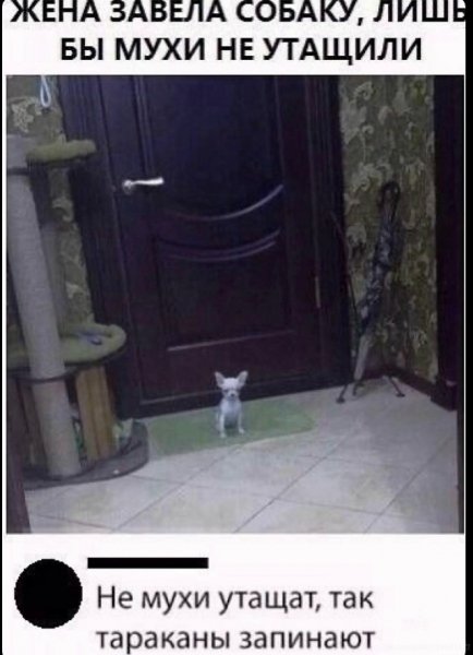 XqOy7yu3XBE