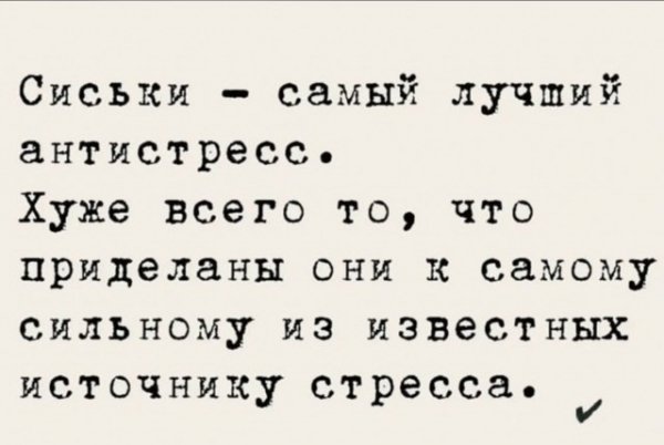 file_103506041