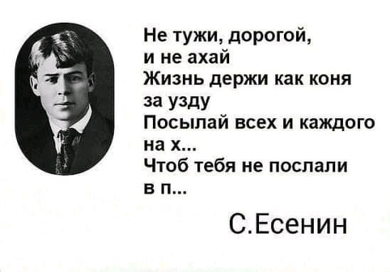 FB IMG 16068443786100192