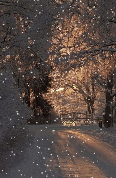 ЗиМа