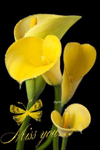 file_47029516