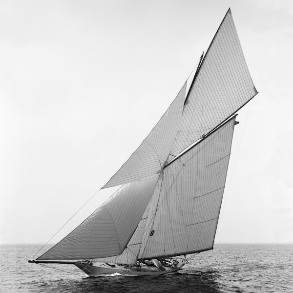 IMG viter59 Gloriana 1891