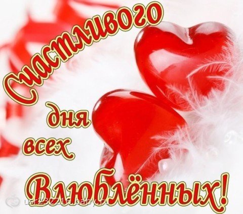 file_81162265
