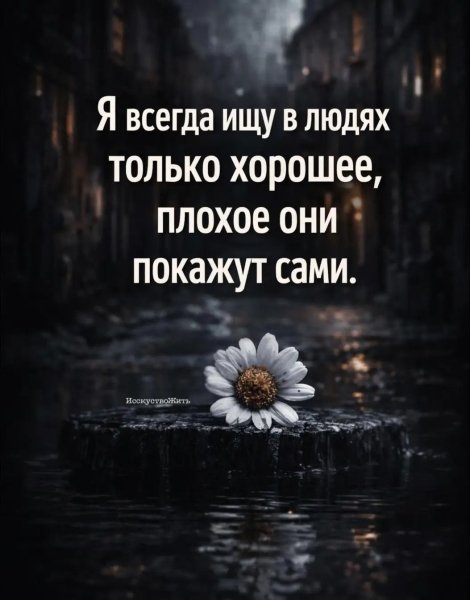 Img 3 1773965967563