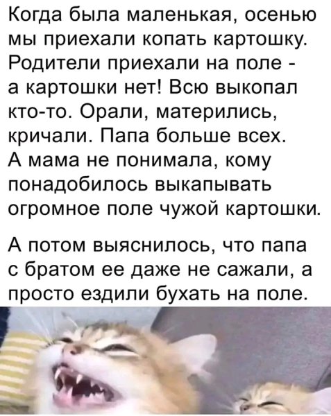 file_103569873