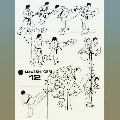 karate club