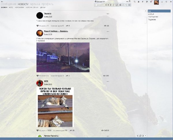 MicroVK Offline Setup
