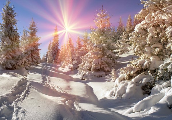 Ukraine Seasons Winter 511203