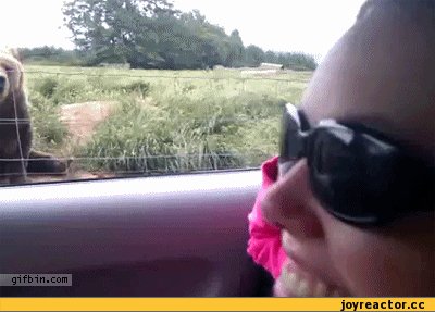 gif 68 567