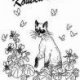 *