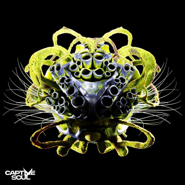 Carl Bee - Dance In The Pain (Radio Edit)