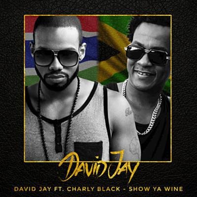David Jay & Charly Black - #Show Ya Wine