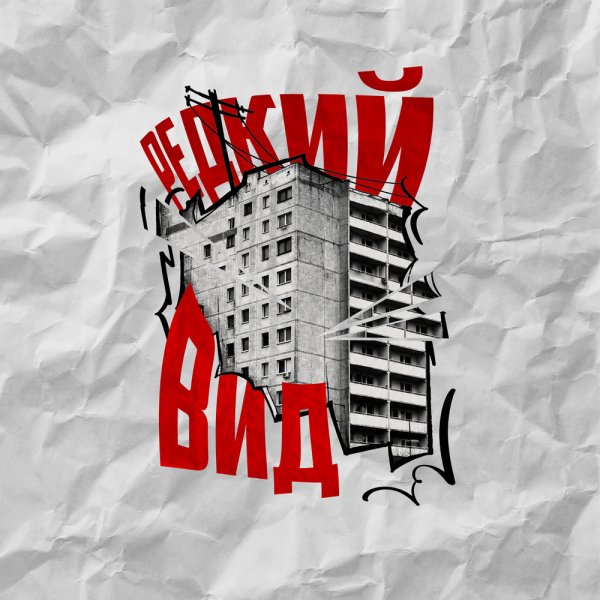 Дубас, Рыночные Отношения - Редкий вид