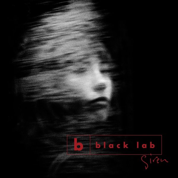 Black Lab - Give You My Heart