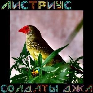 ЛисТриус & Терехов Василий - Солдаты Джа