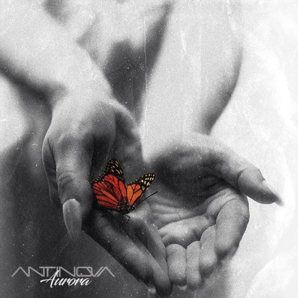 ANTINOVA - Aurora