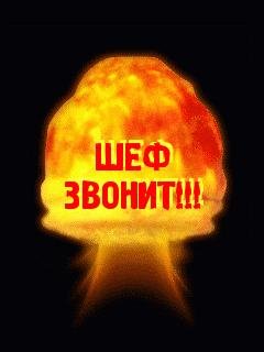 Начальник, милый наш начальник