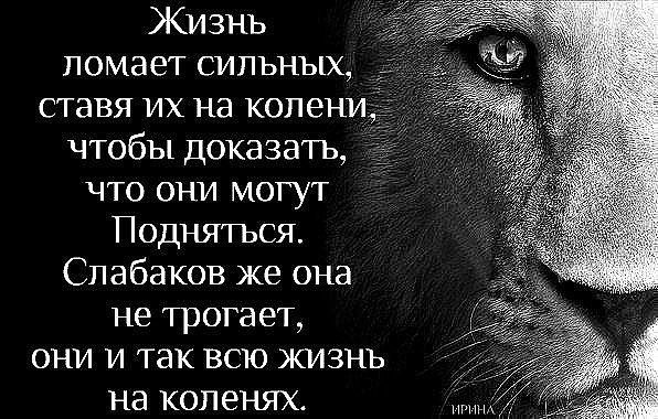 Garik Garik - А вам меня не сломать