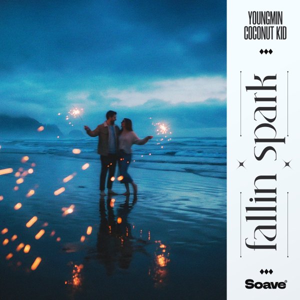 Youngmin & Coconut Kid - Fallin Spark (Original Mix)