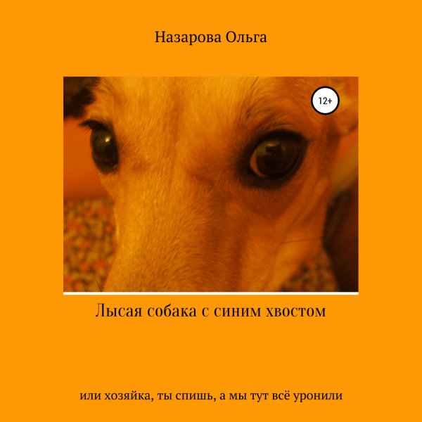 Назарова Ольга - Глава 5. Сын идеальной собаки
