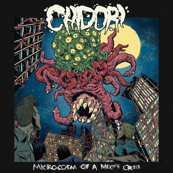 Chidori - acclim8
