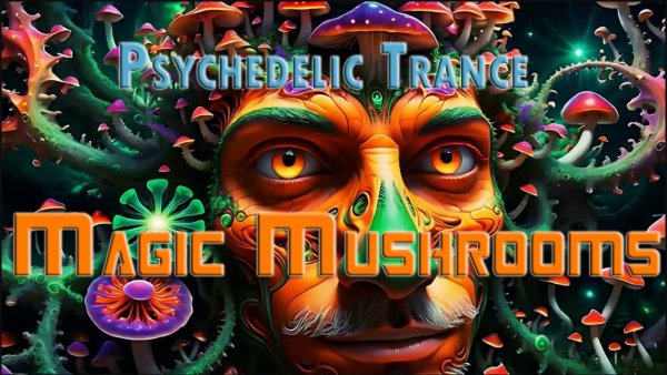 VA - Magic Mushrooms