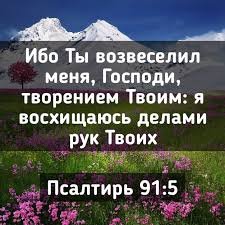 Файл #130783493